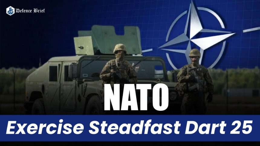 Steadfast Dart 25